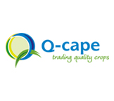 website-qcape.jpg